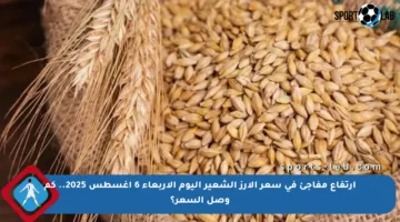 ارتفاع مفاجئ في سعر الأرز الشعير اليوم الأربعاء 6 أغسطس 2025.. كم وصل السعر؟